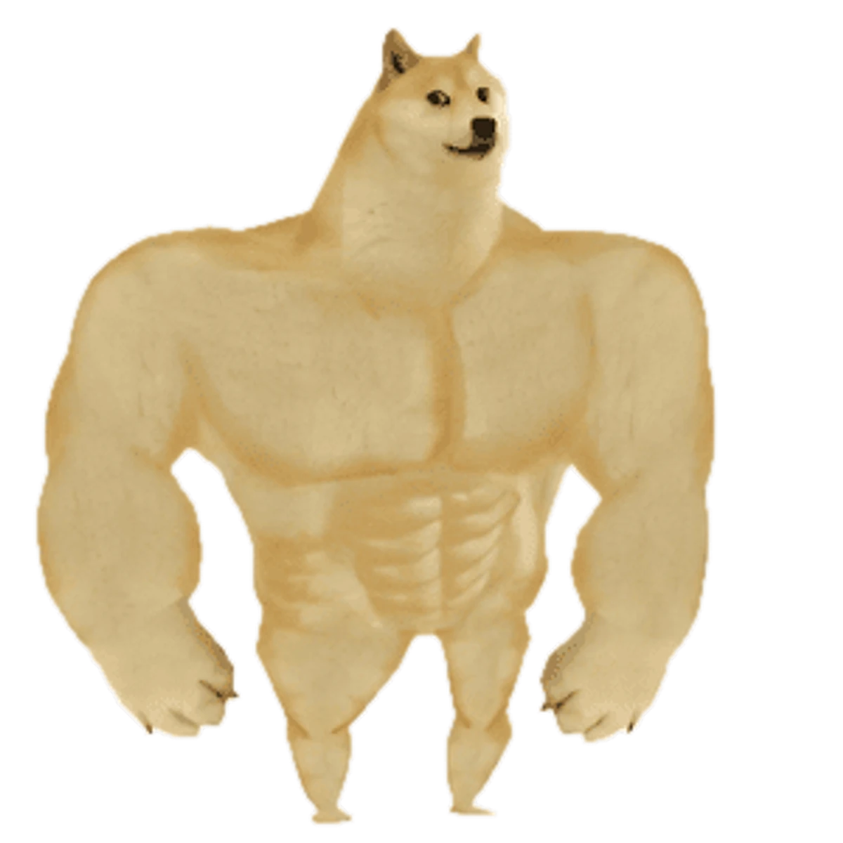 Swole Doge: the Doge's head on a colossal bodybuilder's body